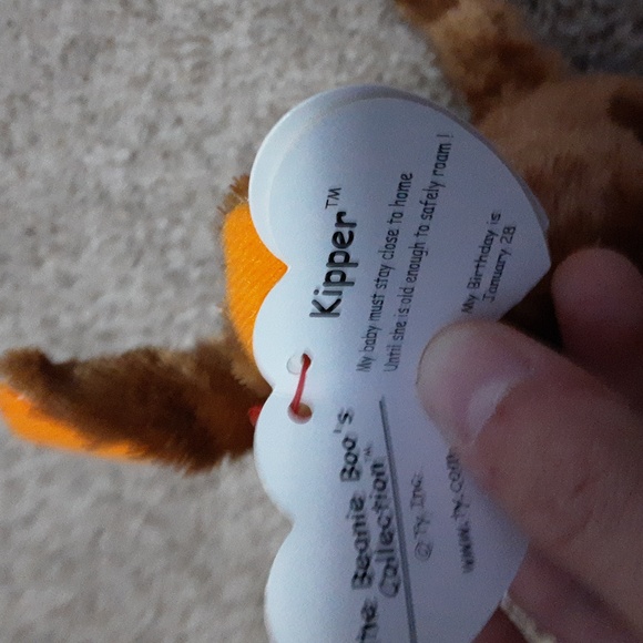 2017 Kipper Beanie Boo - Picture 3 of 4